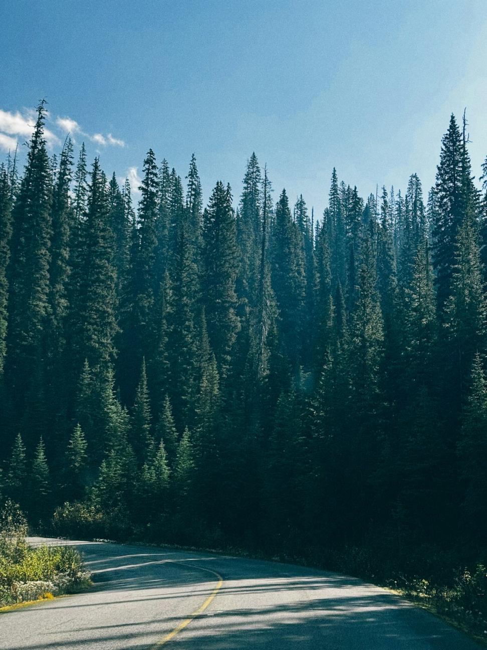 Scenic mountain road
