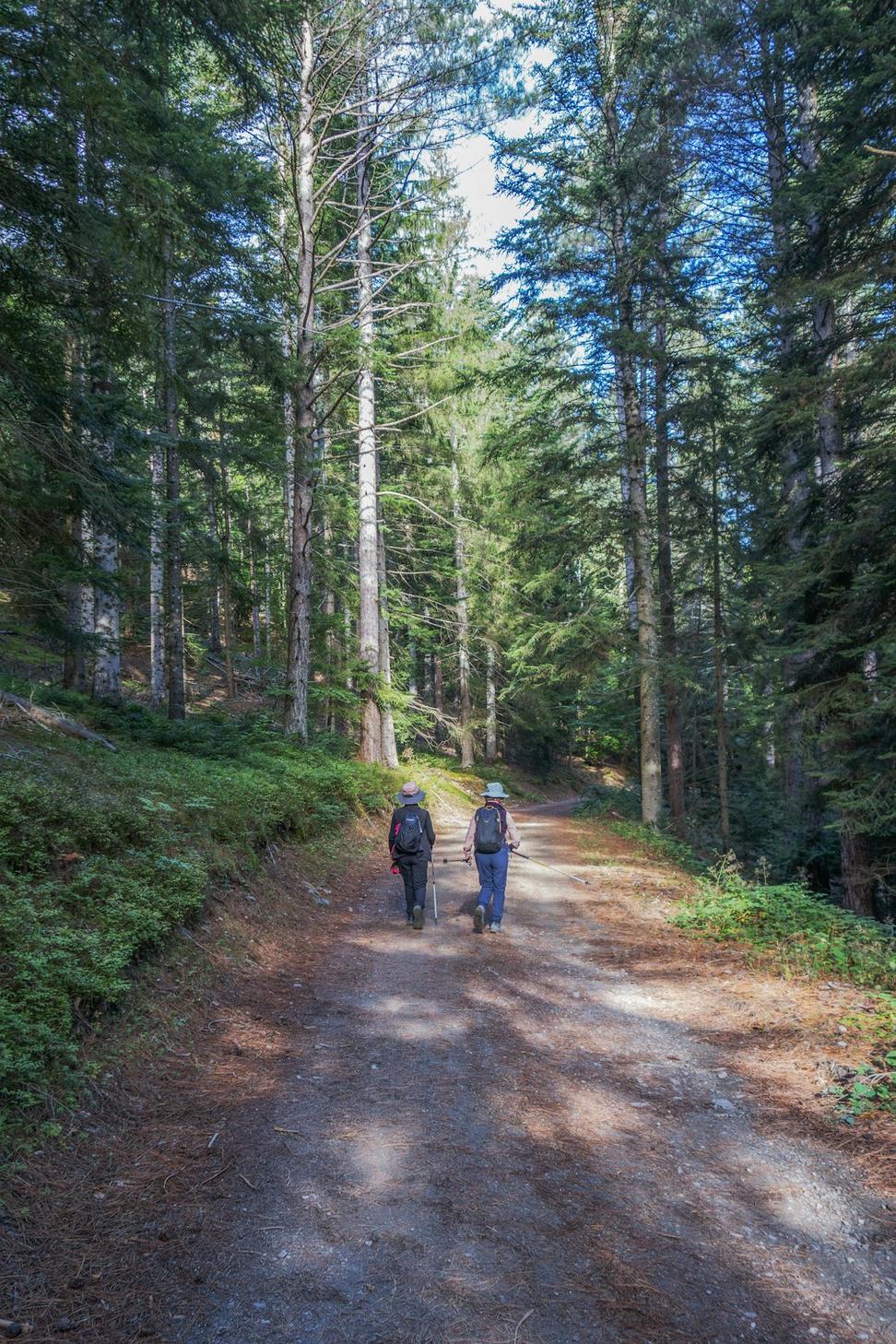 Guided wilderness experience